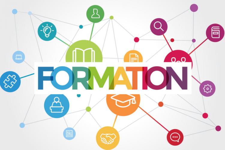 grands projets de la fondation: insertion professiionnelle