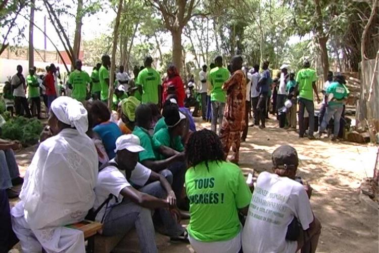 Journée mondiale de l'environnement 2014